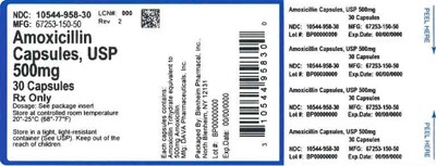Label 500mg 30ct (Label Amoxicillin Caps 500mg Bpi(10544 958 30) Dava(67253 150 50) Rev2)